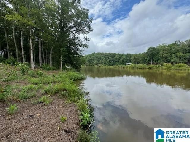 lot9 County Road 499 #LOT 8, Woodland, AL 36280