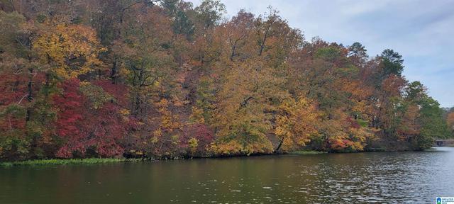 lot7 Eagle Mountain Rd #7, Rockford, AL 35136