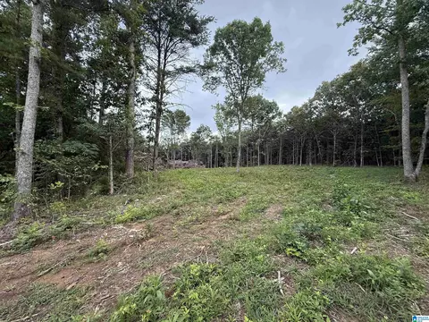 55 Mountain Brow Dr #1, Oneonta, AL 35121