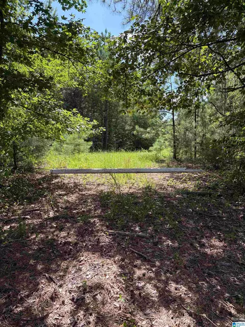 county road 228, Clanton, AL 35045