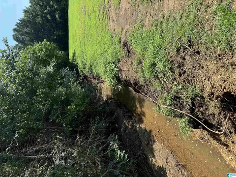 Other - 1120 Valley Rd, Oneonta, AL 35121 photo 10 of 10