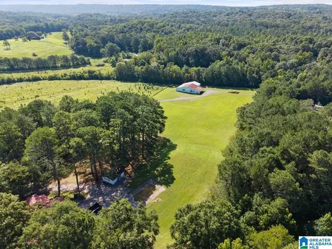 Other - 1120 Valley Rd, Oneonta, AL 35121 photo 6 of 10