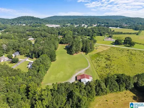 View/Area - 1120 Valley Rd, Oneonta, AL 35121 photo 3 of 5