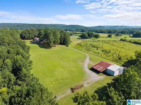 Other - 1120 Valley Rd, Oneonta, AL 35121 photo 5 of 10
