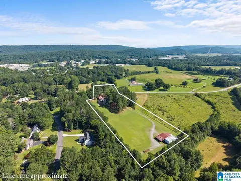View/Area - 1120 Valley Rd, Oneonta, AL 35121 photo 2 of 5