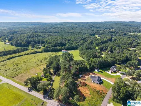 View/Area - 1120 Valley Rd, Oneonta, AL 35121 photo 4 of 5