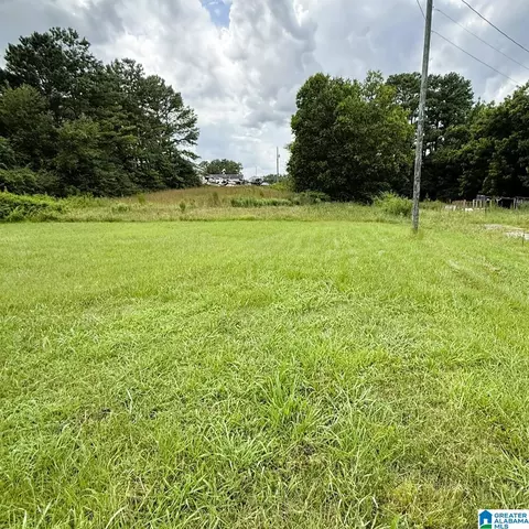 202 Johnson Landing Rd #1, Valhermoso Springs, AL 35775