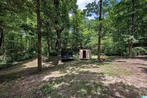 Exterior - 40 Forest Ln, Warrior, AL 35180 photo 10 of 15