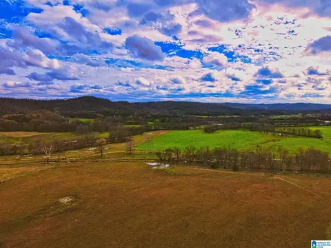 0 Hinds Rd #0, Blountsville, AL 35031