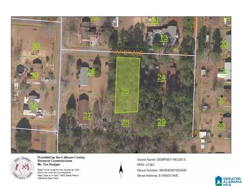 0 Vandy Ave #LOT 20, Piedmont, AL 36272