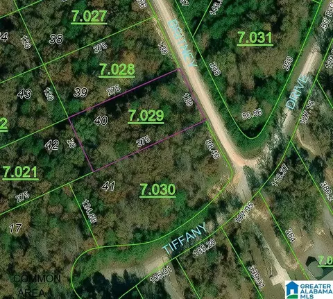 tbd Big Bear Branch Cir #40, Double Springs, AL 35553