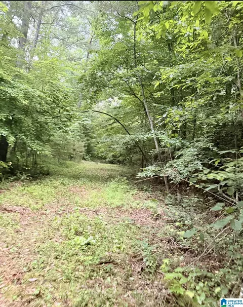 0 County Road 40 #0, Fruithurst, AL 36262 photo 28
