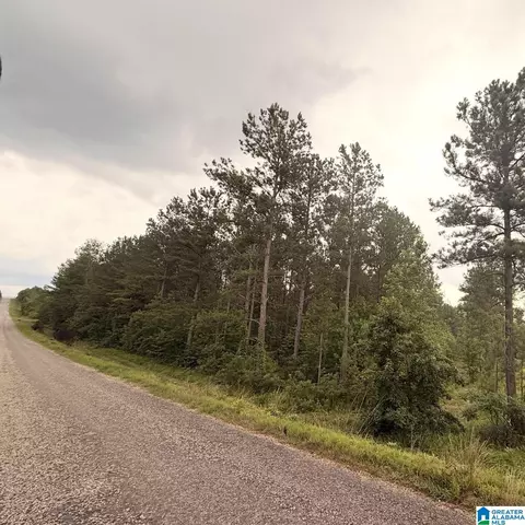 0 County Road 40 #0, Fruithurst, AL 36262 photo 44