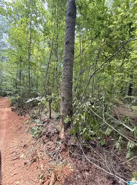 0 County Road 40 #0, Fruithurst, AL 36262 photo 9