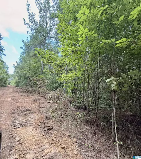 0 County Road 40 #0, Fruithurst, AL 36262 photo 7