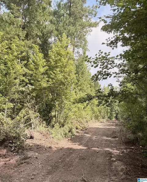 0 County Road 40 #0, Fruithurst, AL 36262 photo 31