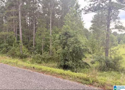 0 County Road 40 #0, Fruithurst, AL 36262 photo 45
