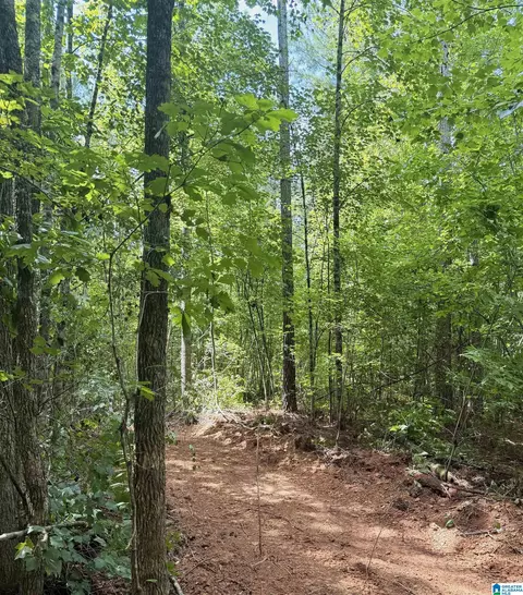 0 County Road 40 #0, Fruithurst, AL 36262 photo 6