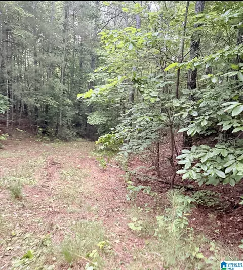0 County Road 40 #0, Fruithurst, AL 36262 photo 27