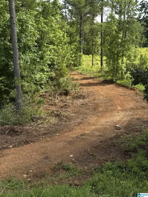 0 County Road 40 #0, Fruithurst, AL 36262 photo 5