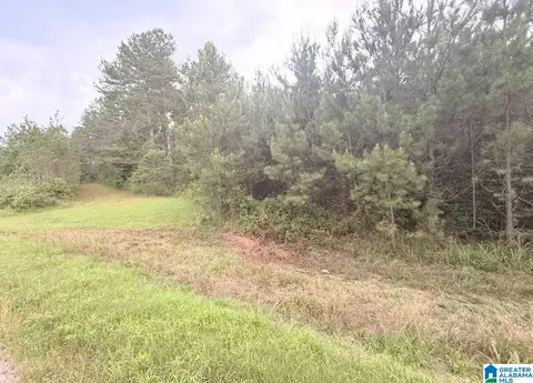 0 County Road 40 #0, Fruithurst, AL 36262 photo 3