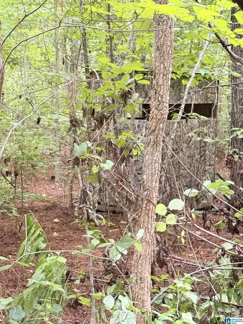 0 County Road 40 #0, Fruithurst, AL 36262 photo 35