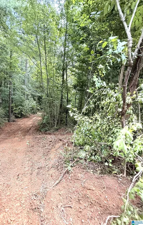 0 County Road 40 #0, Fruithurst, AL 36262 photo 11