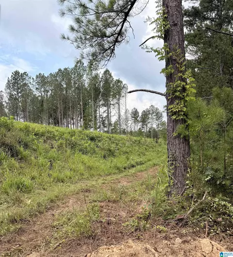 0 County Road 40 #0, Fruithurst, AL 36262 photo 4