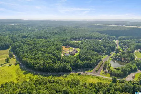 6535 Ivy Walk #71, Mccalla, AL 35022
