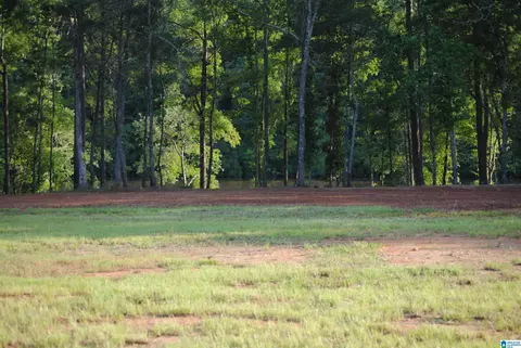 county road 499, Woodland, AL 36280