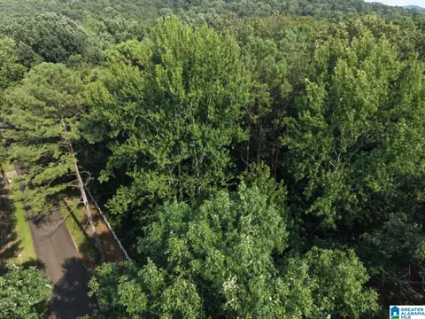 5389 Old Shadow Lake Rd #0, Pinson, AL 35126