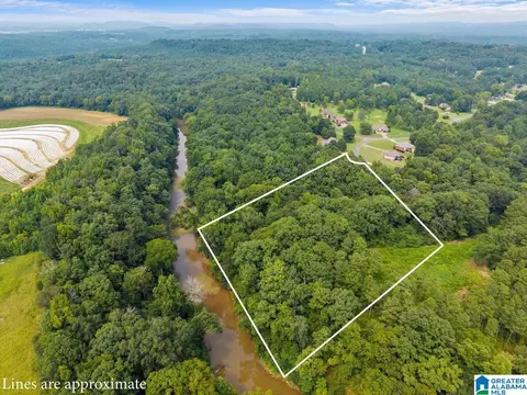 riverview court, Cleveland, AL 35049