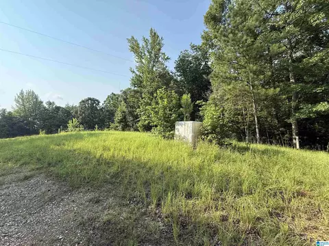 329 Coosa County Road 117 #0, Goodwater, AL 35072