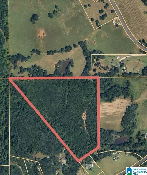 0 County Road 216 #1, Thorsby, AL 35171