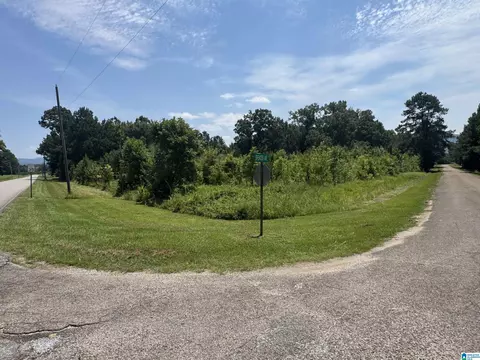 7 Acres Spencer Ave #0, Piedmont, AL 36272