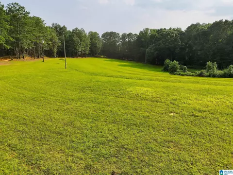 00 County Road 133 #LOT 2, Jemison, AL 35085