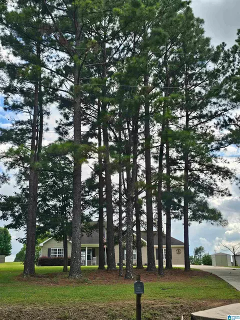 Exterior - 1025 County Road 370, Clanton, AL 35045 photo 5 of 9
