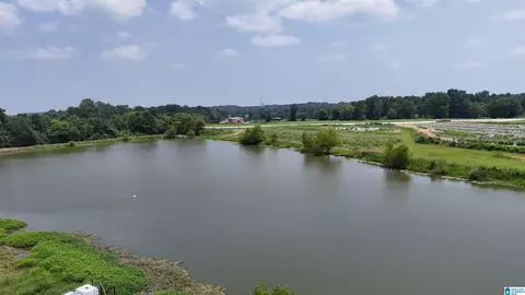 1780 County Road 42 #N/A, Steele, AL 35987