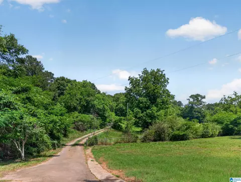 201 Cove Access Rd, Talladega, AL 35160