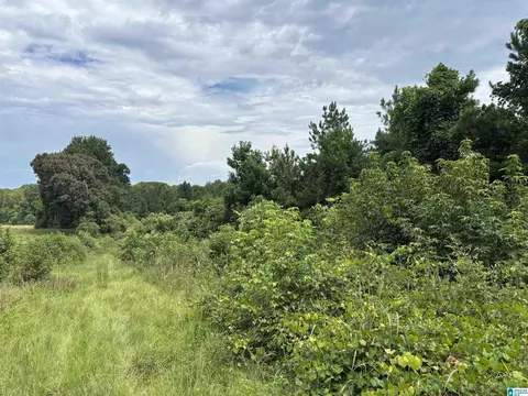 county road 65, Wadley, AL 36276