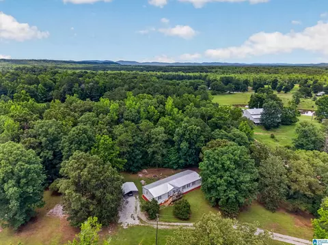 415 Logging Rd, Ohatchee, AL 36271 photo 36