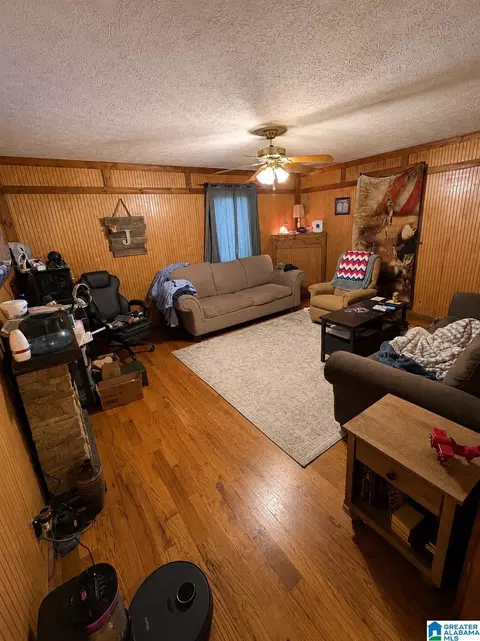 Other - 12856 Highway 78, Fruithurst, AL 36262 photo 2 of 3