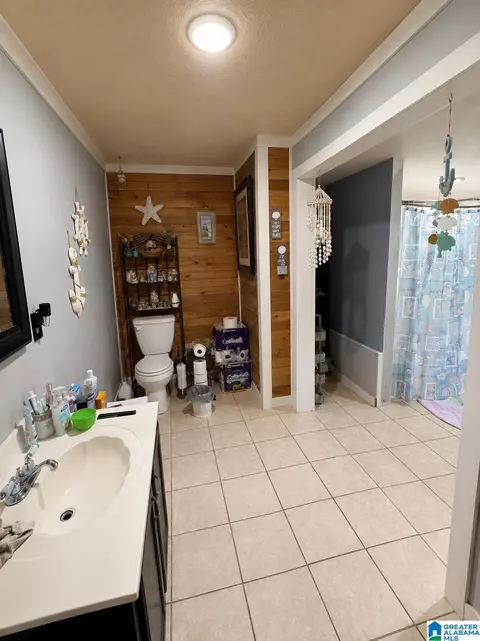 Other - 12856 Highway 78, Fruithurst, AL 36262 photo 3 of 3