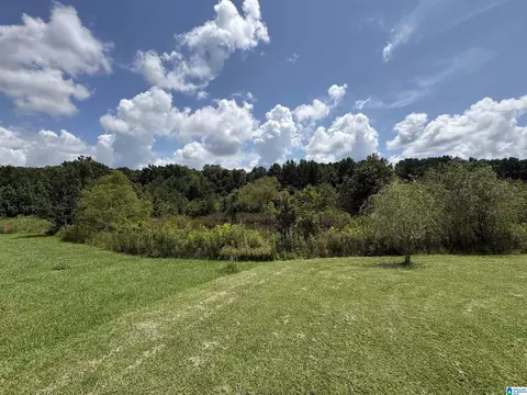 Exterior - 12856 Highway 78, Fruithurst, AL 36262 photo 5 of 5