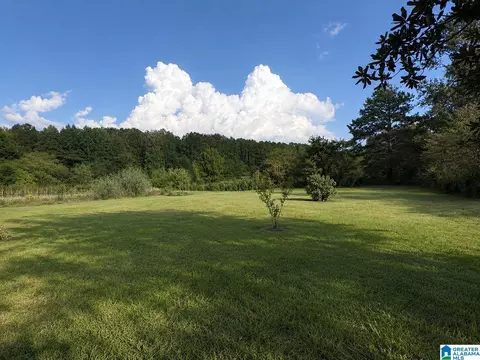 Exterior - 12856 Highway 78, Fruithurst, AL 36262 photo 2 of 5