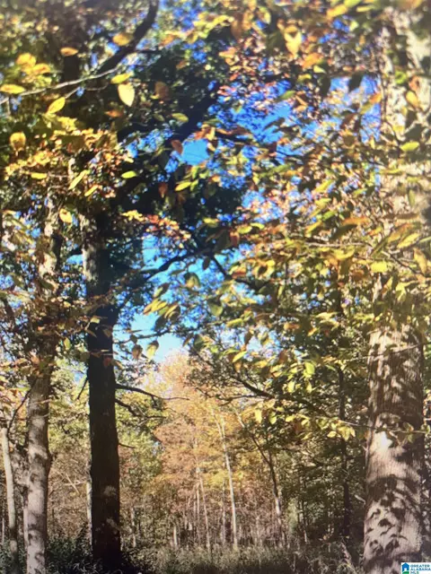 1399 Rock Creek Rd #1, Bessemer, AL 35023