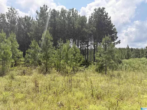 35 Queen Dr #5, Columbiana, AL 35051