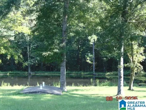 View/Area - 4699 County Road 43, Clanton, AL 35045 photo 2 of 2