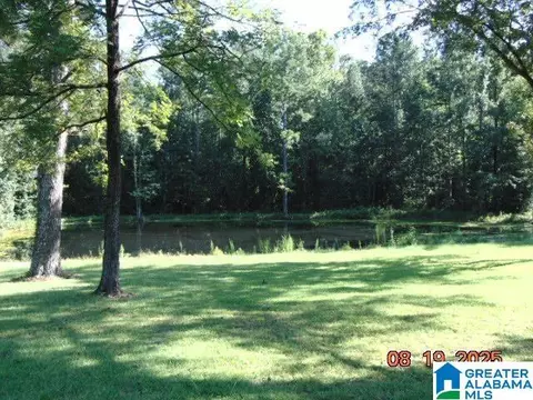 View/Area - 4699 County Road 43, Clanton, AL 35045 photo 1 of 2