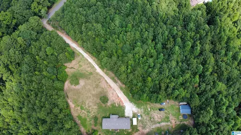 515 County Road 129, Ranburne, AL 36273 photo 43